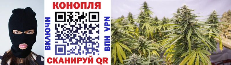 Купить наркотики цена Вилючинск Гашиш  мега   Меф мяу мяу  Каннабис  А ПВП 