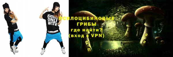 бутират Бородино