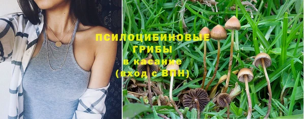 не бодяженный Бронницы