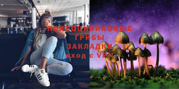 бутират Бородино